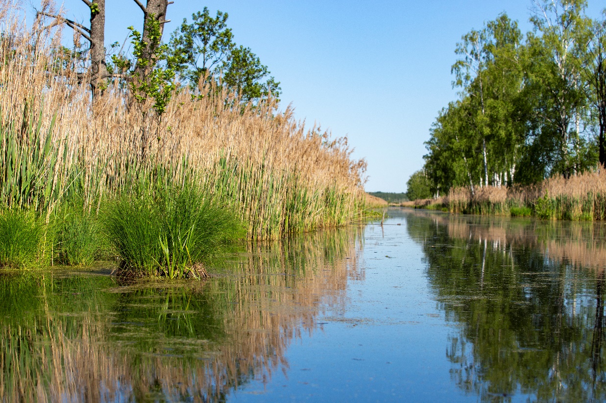 Водный маршрут на байдарках до 3 км - фото 1